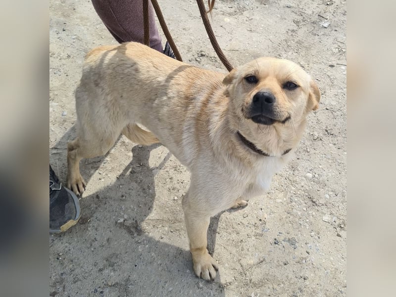 Emilio ein sanfter Engel