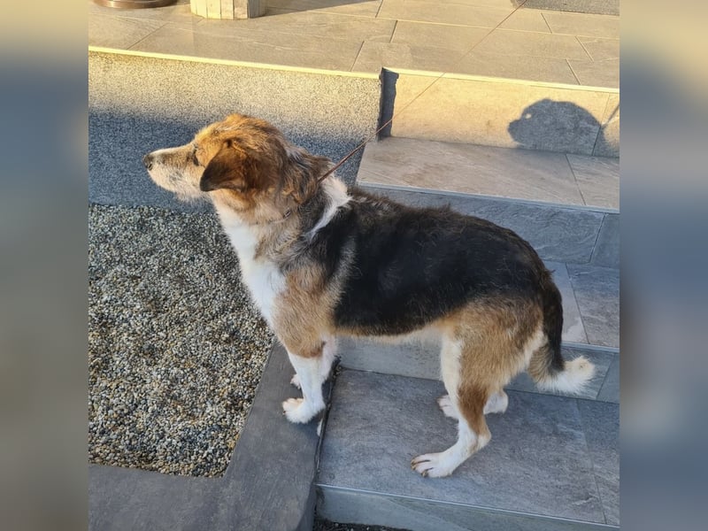 Newe die Menschenliebende