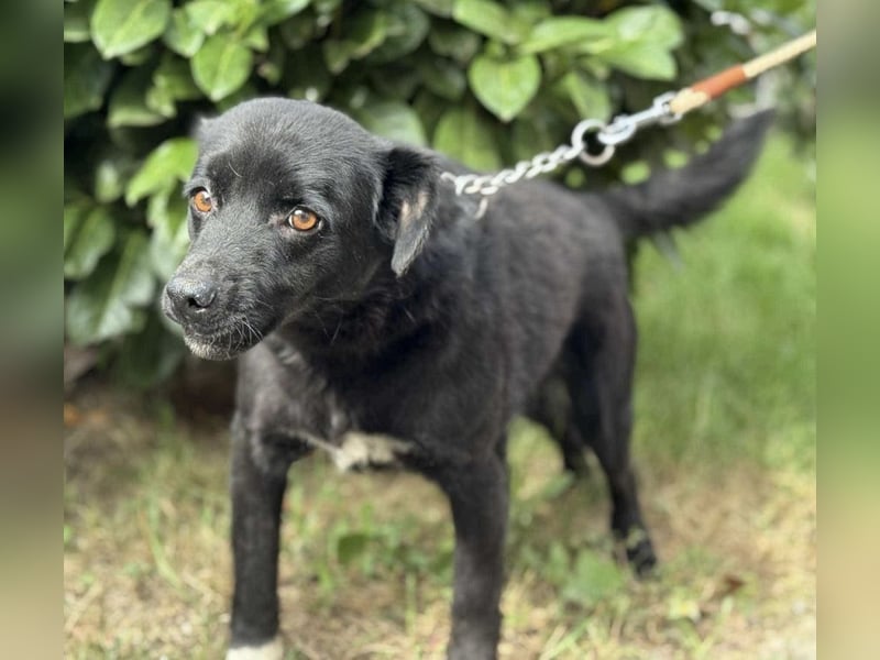 Lolica ein Engel auf Erden