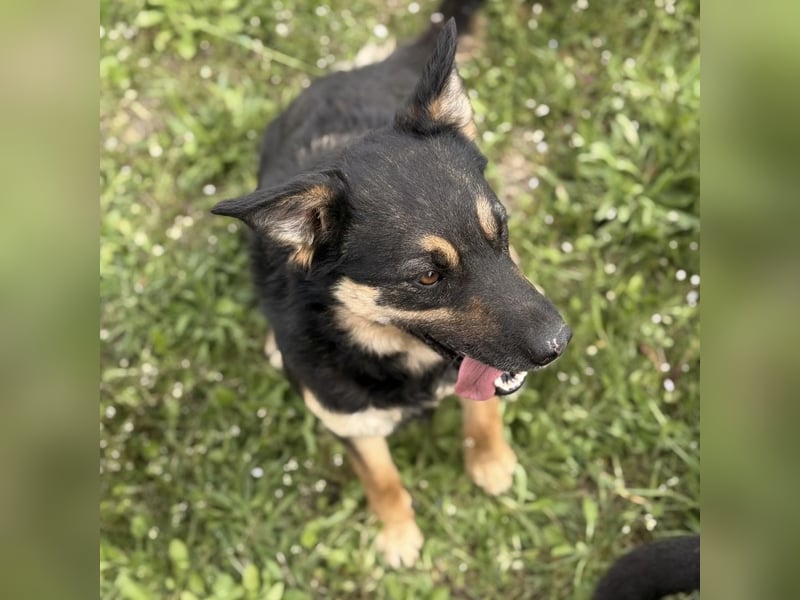 Letty ein freundliches Mädchen