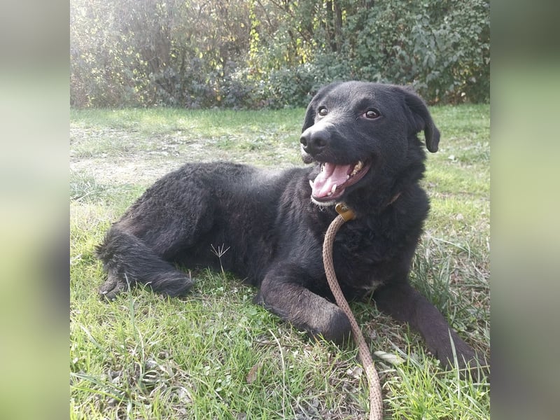 Sofia ein Engel mit gebrochenen Flügeln