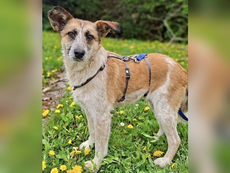 Tina - ein traumhaft lieber Wesen