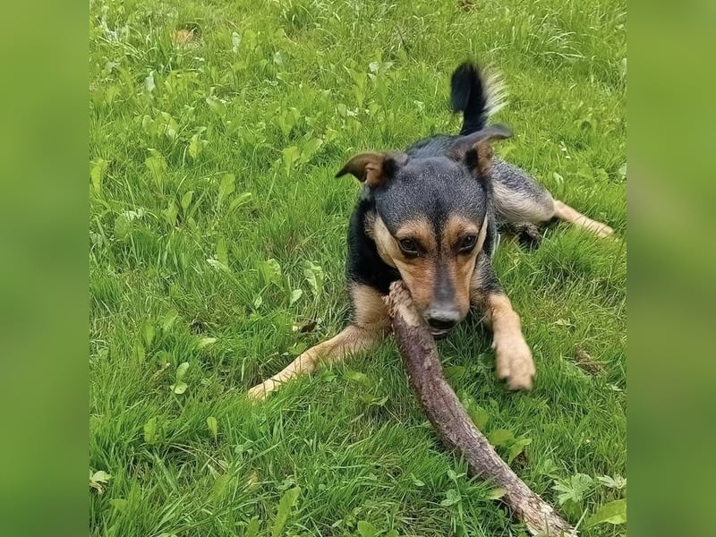 Ferdi ein kleiner freundlicher Schatz