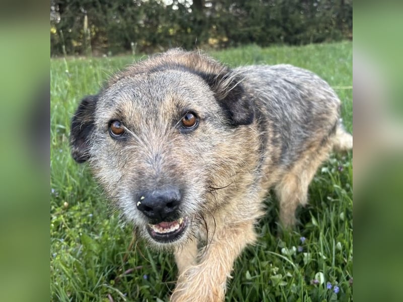 Mars der allerliebste