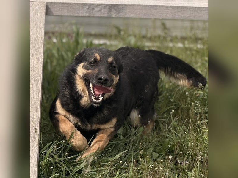 Letty ein freundliches Mädchen