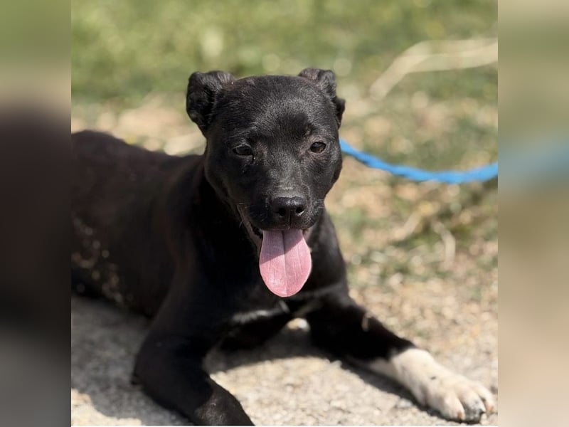 Jenny möchte nicht im Tierheim aufwachsen