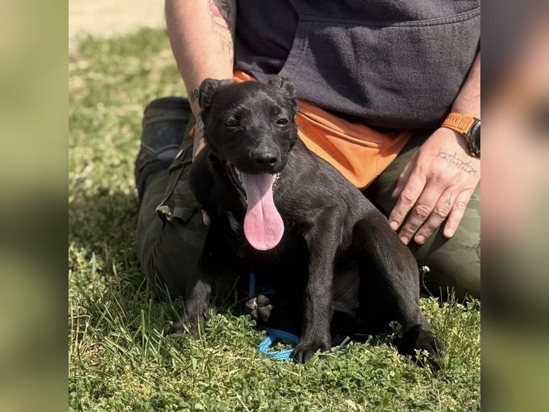 Paulina mag nicht im Tierheim aufwachsen