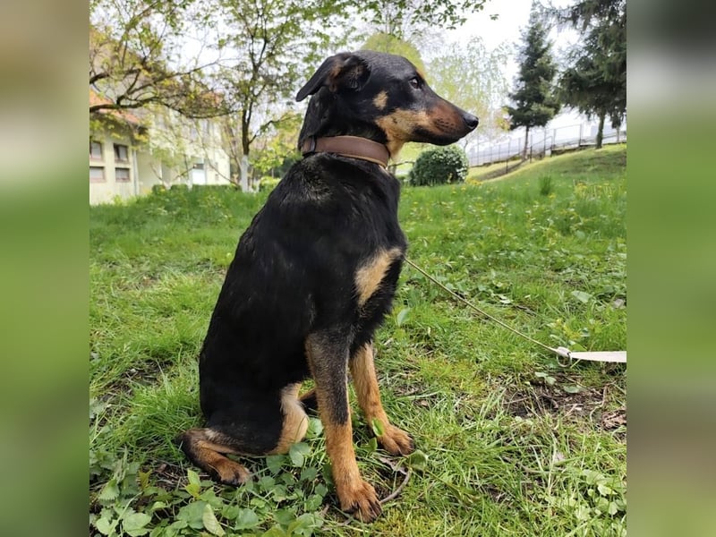 Eletta ein sanfter Engel