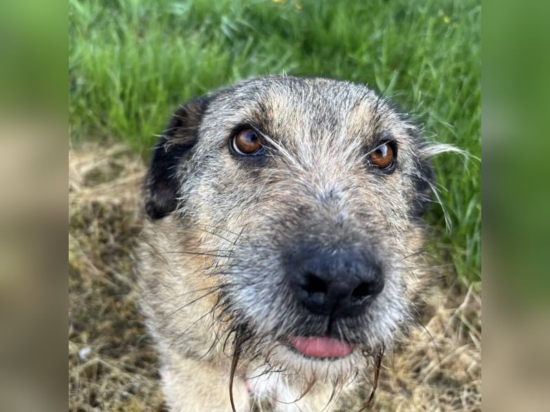 Mars der allerliebste