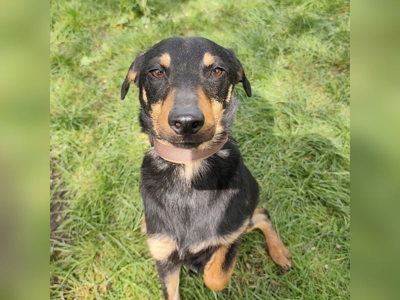 Eletta ein sanfter Engel