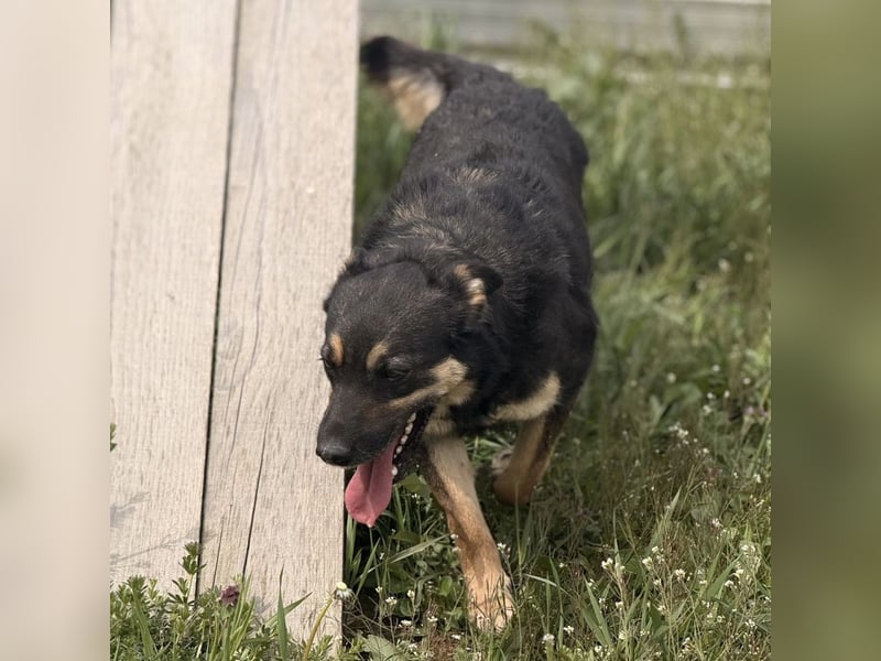 Letty ein freundliches Mädchen