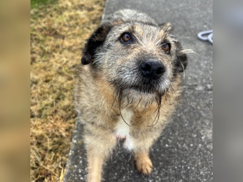 Mars der allerliebste