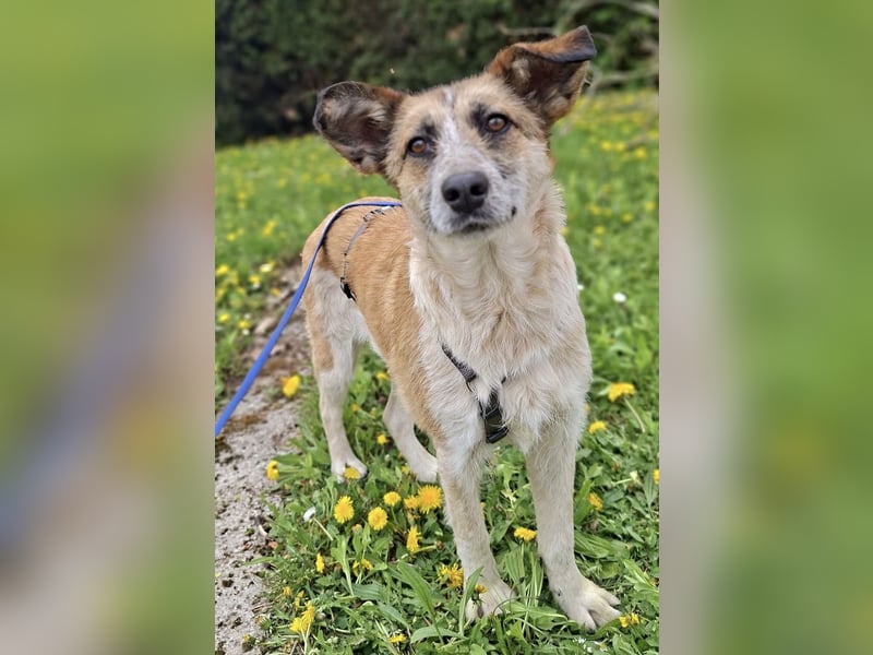 Tina - ein traumhaft lieber Wesen