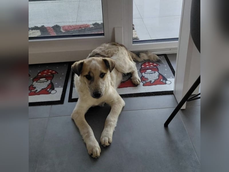 Lenuschka ein kleiner toller Schatz