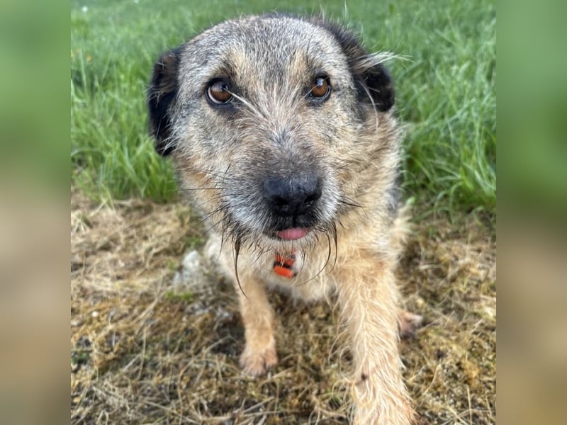 Mars der allerliebste