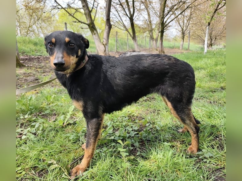 Eletta ein sanfter Engel