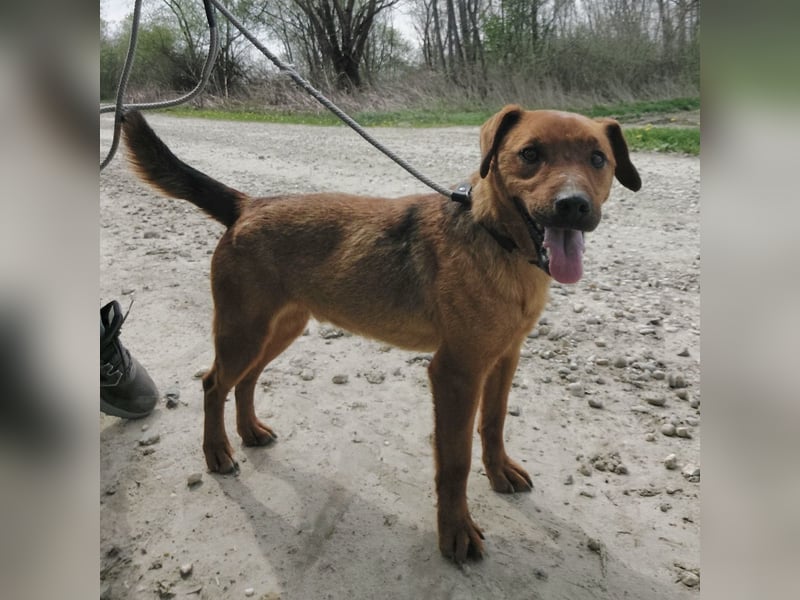 Zurück wartet viel zu lange