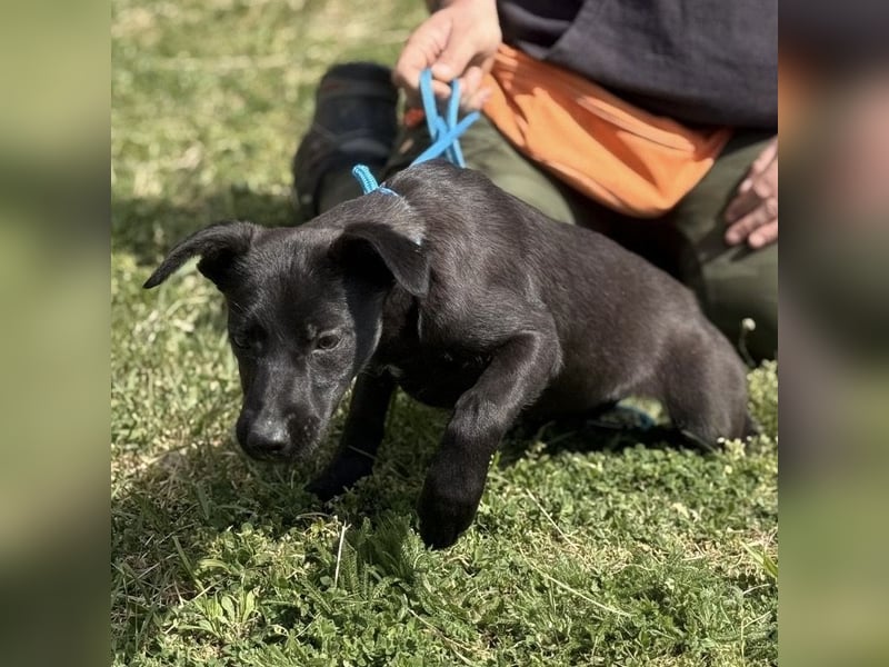 Paulina mag nicht im Tierheim aufwachsen
