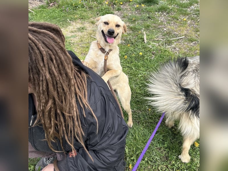 Emilio ein sanfter Engel