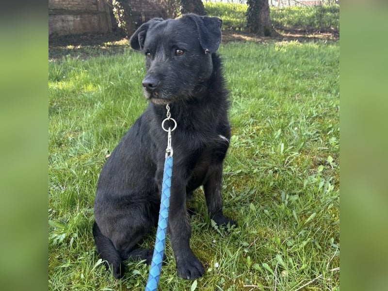 Juri ein sanfter Schatz