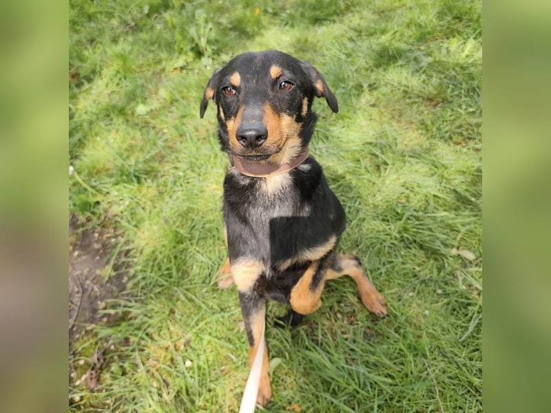 Eletta ein sanfter Engel