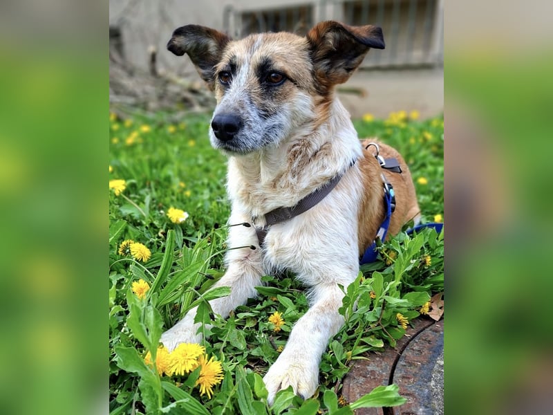 Tina - ein traumhaft lieber Wesen