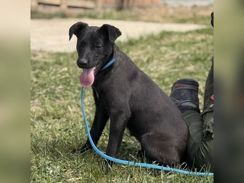 Paulina mag nicht im Tierheim aufwachsen