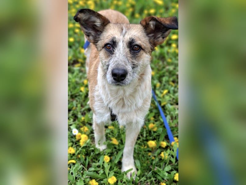 Tina - ein traumhaft lieber Wesen