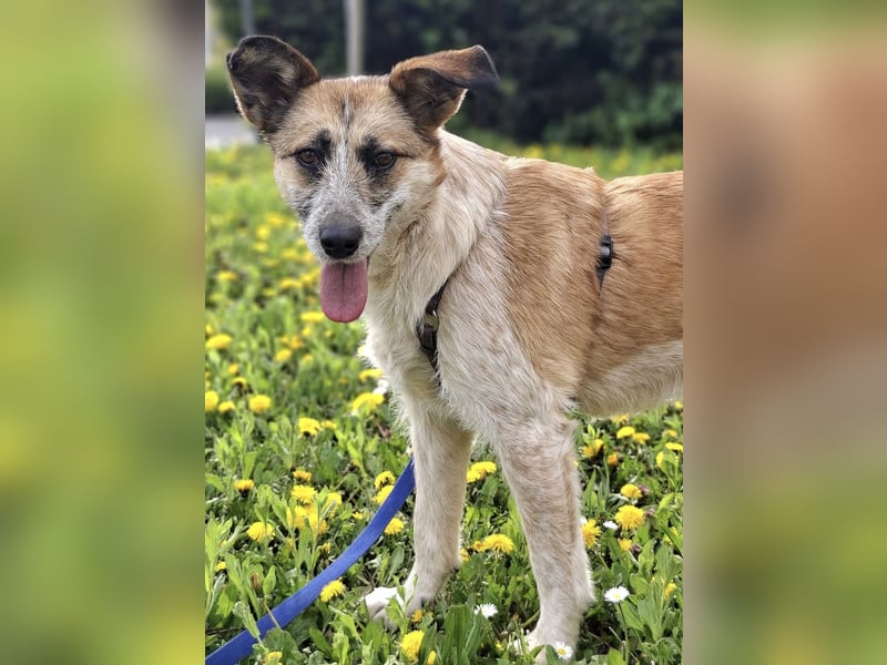 Tina - ein traumhaft lieber Wesen