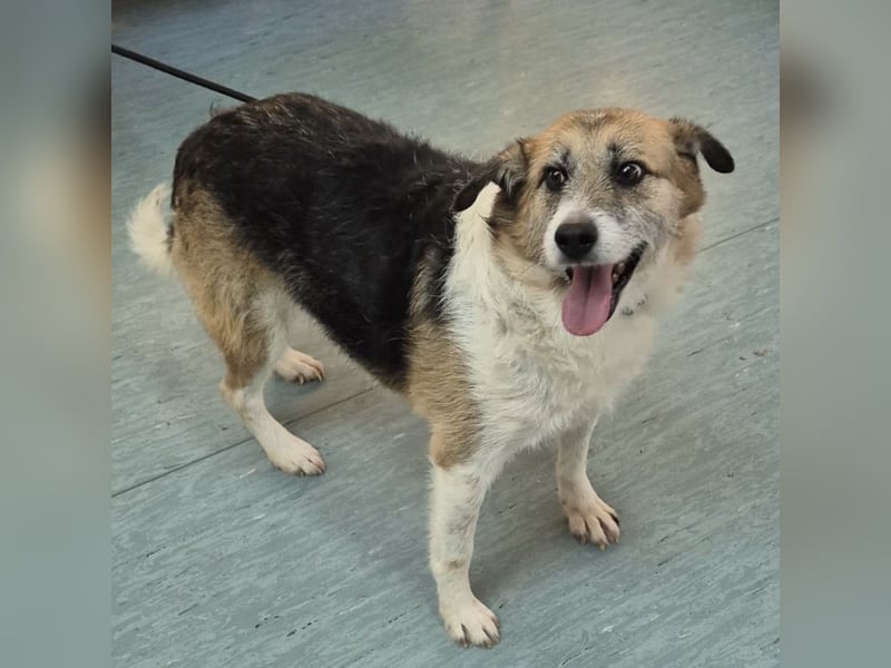 Newe die Menschenliebende