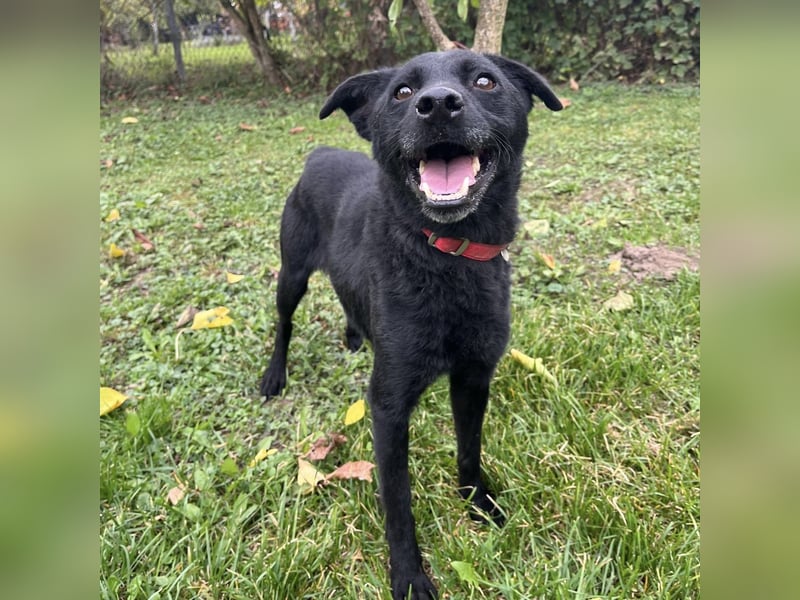 Suncica ein Sonnenschein