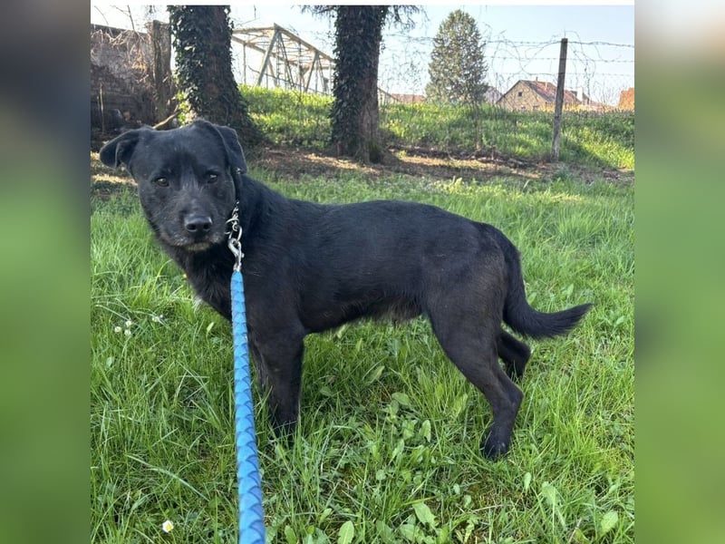 Juri ein sanfter Schatz