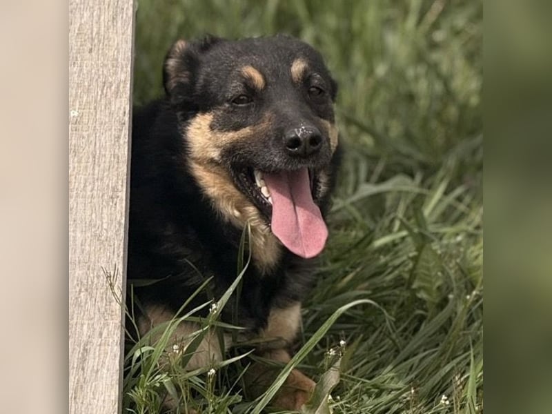 Letty ein freundliches Mädchen