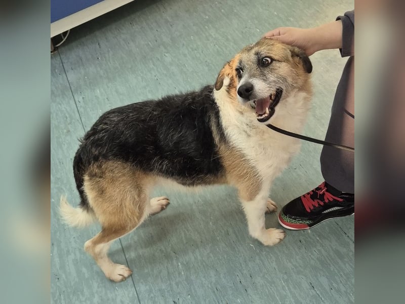 Newe die Menschenliebende