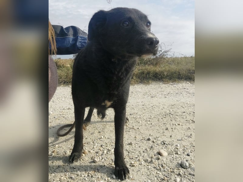 Sofia ein Engel mit gebrochenen Flügeln