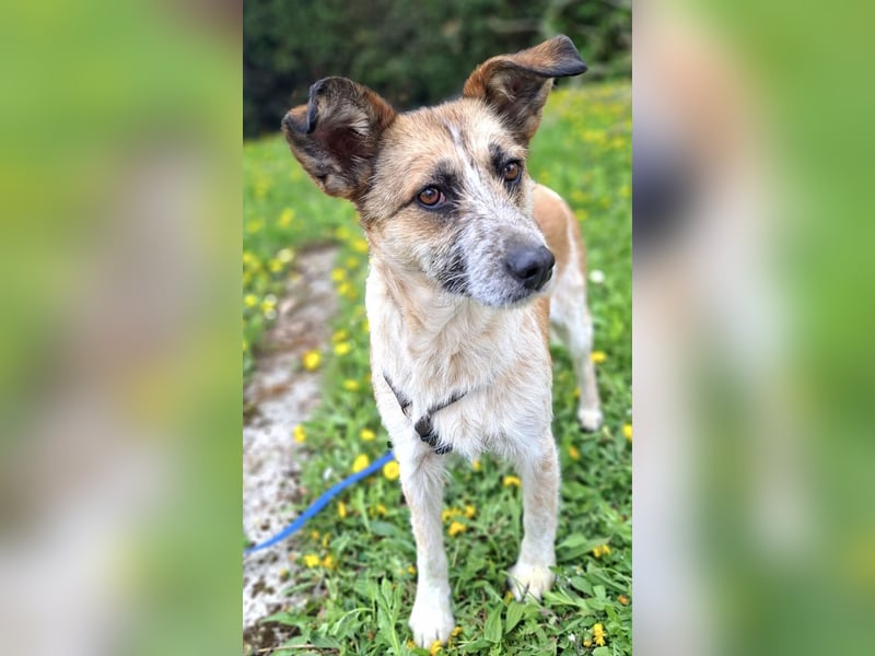 Tina - ein traumhaft lieber Wesen