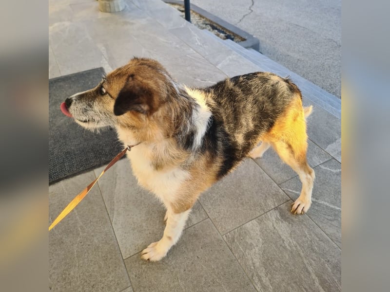 Newe die Menschenliebende