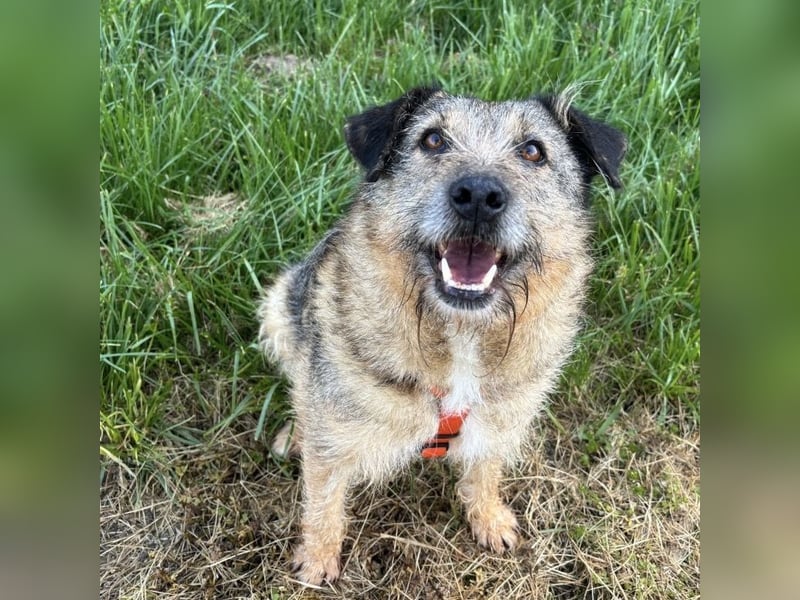 Mars der allerliebste