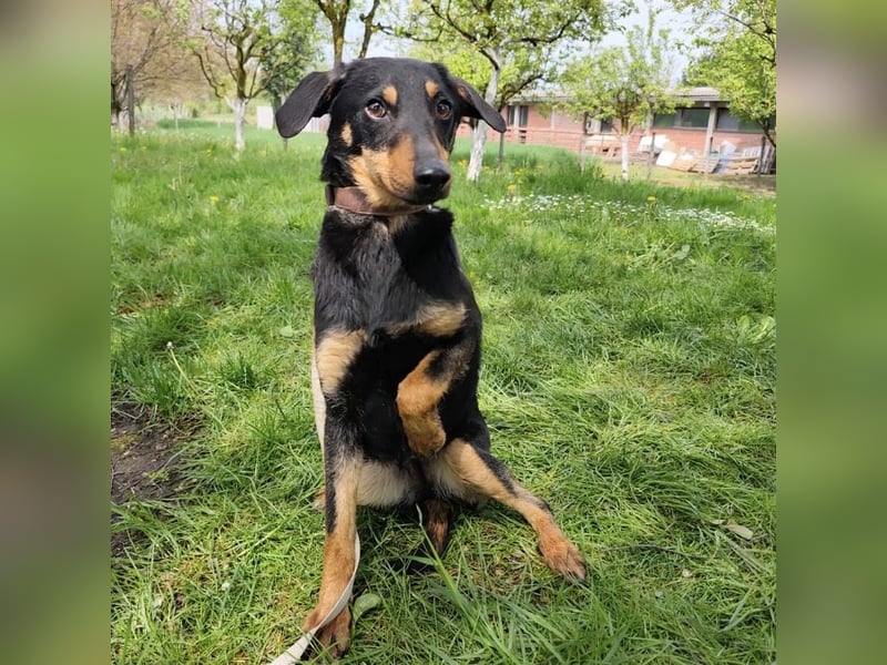 Eletta ein sanfter Engel