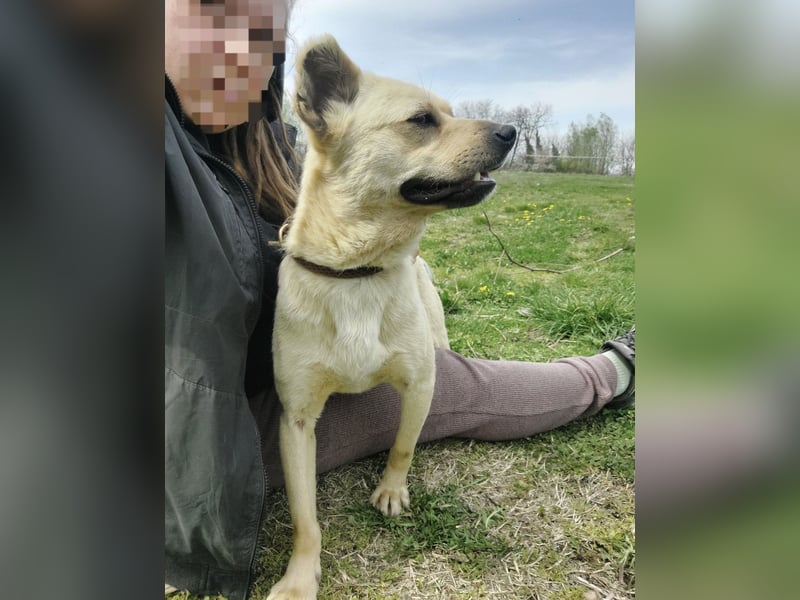 Emilio ein sanfter Engel