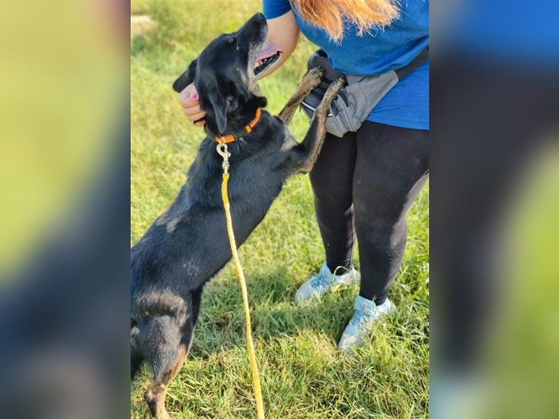 Liebevolle Eva wartet bereits seit zwei Jahren