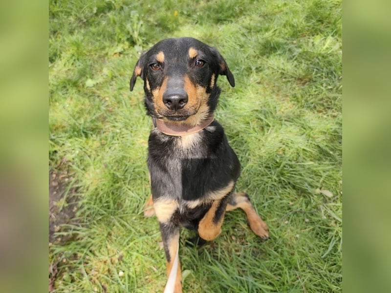 Eletta ein sanfter Engel