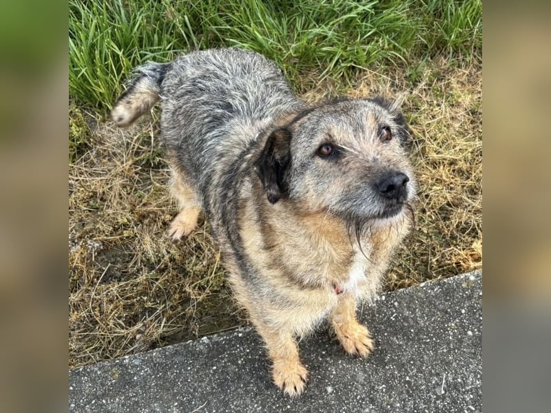 Mars der allerliebste