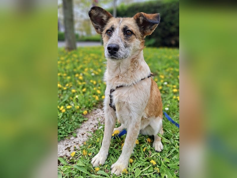 Tina - ein traumhaft lieber Wesen