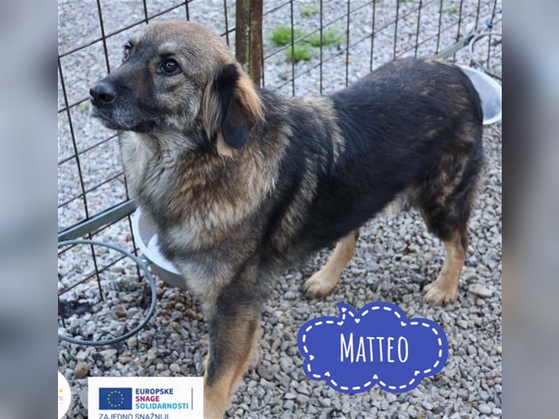 Matteo ein Schatz