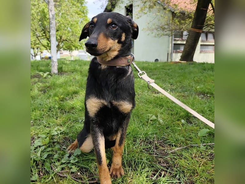 Eletta ein sanfter Engel