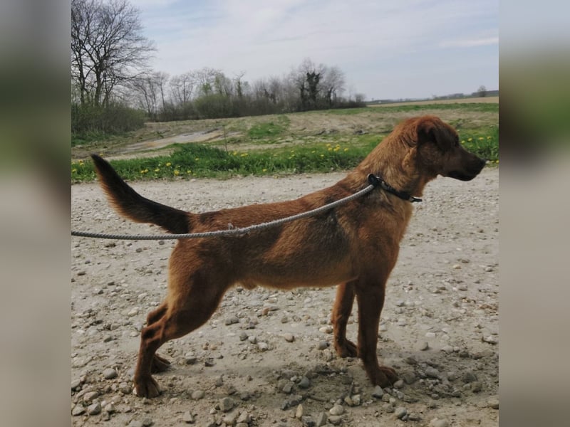 Zurück wartet viel zu lange