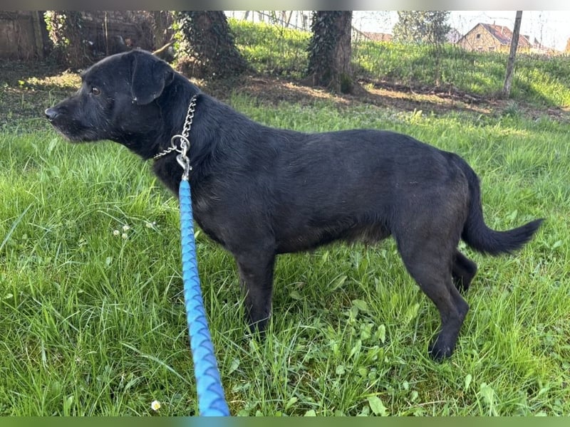 Juri ein sanfter Schatz