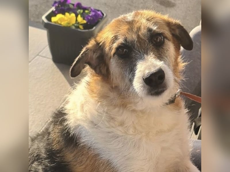 Newe die Menschenliebende