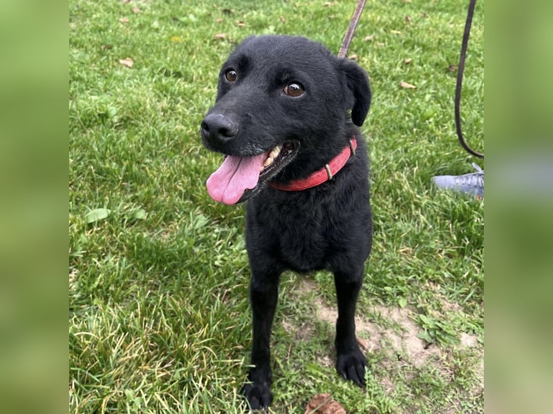 Suncica ein Sonnenschein